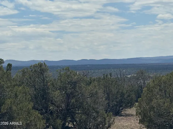 Lot 014E Wagon Lane -- #014E, Snowflake, AZ 85937