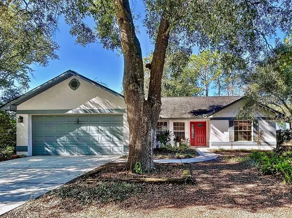 1555 Norwick Dr, Lutz, FL 33559