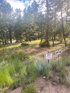 5307 Mountain Vista Lane, Evergreen, CO, 80439