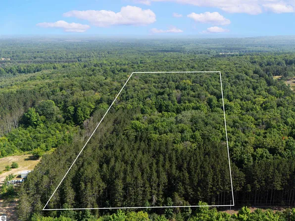 Vl W Phelps Rd, Manton, MI 49663