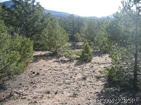 2nd image of 5399 Longbranch Rd