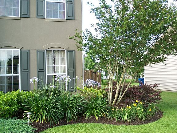 3rd image of 41385 Tulip Hill Ave