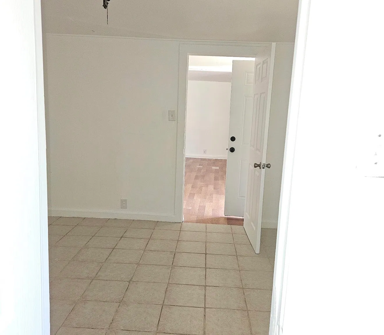 1 bed, 800 sqft, $650 — Photo 4