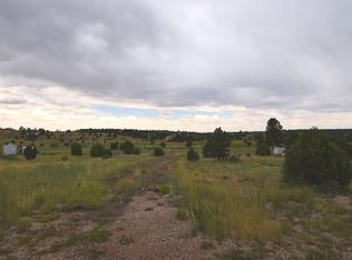 6983 Angel Way, Show Low, AZ 85901