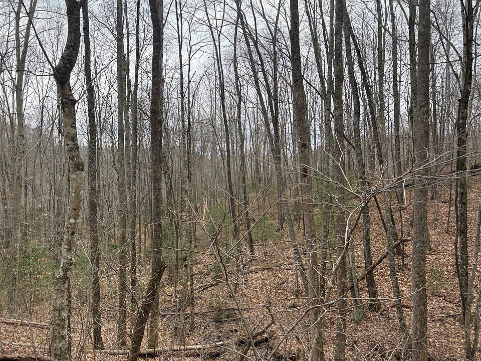 1st image of 0 Pond View Ridge