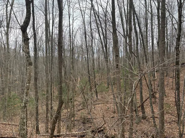 0 Pond View Ridge, Franklin, NC 28734