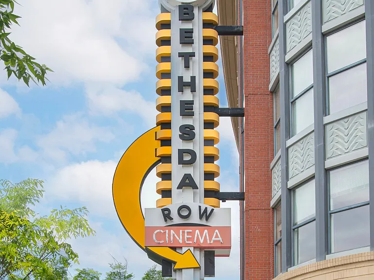 Ellis Bethesda — Photo 19