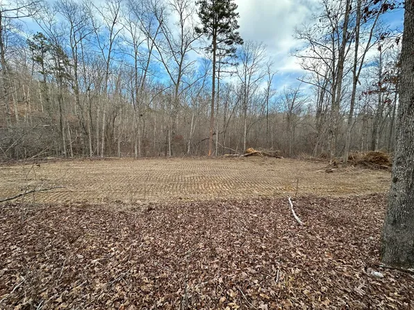 000 County Road 218, Van Buren, MO 63965