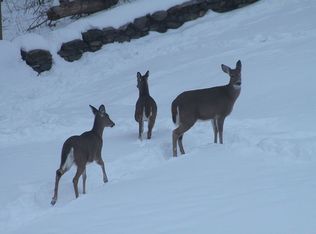 283 Watermelon Hill Rd, Mahopac, NY 10541