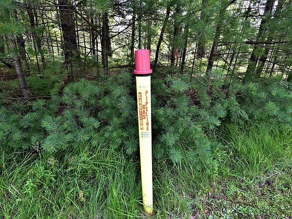 4th image of N Forest Lake Dr