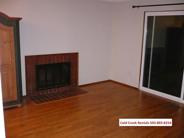 Livingroom / Fireplace