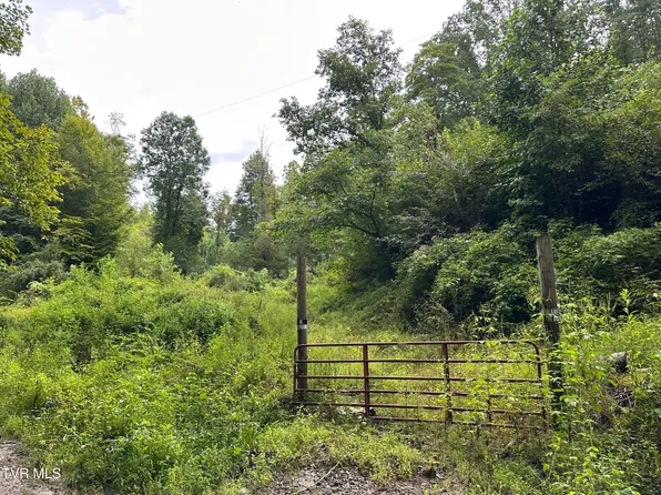 Canary Trl, Pennington Gap, VA 24277