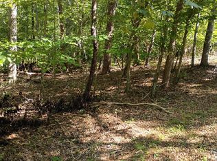 41 Long Pine Ct #41, Moneta, VA 24121