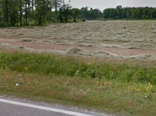 Horse Branch Rd, Turbeville, SC 29162