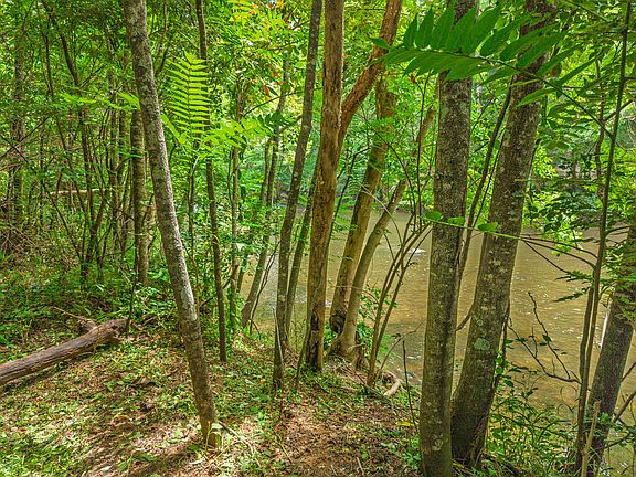 5th image of Shady Branch Cir