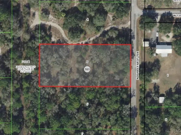 10146 N Purplesage Ter, Crystal River, FL 34428