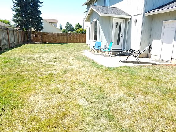 Back yard