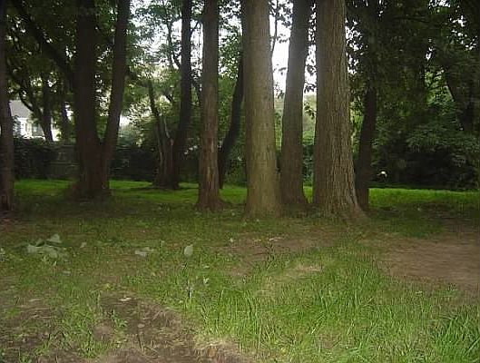 4th image of 371 Paoli Park