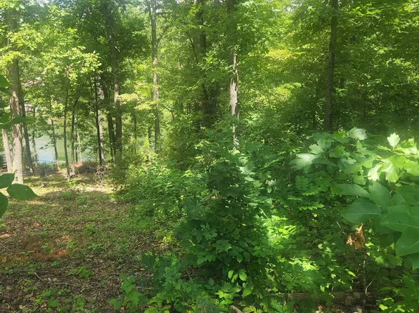 S Summit Ridge Dr, Williford, AR 72482