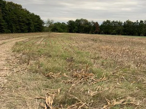 Windwright Lane & Shenandoah #P, Catlett, VA 20119