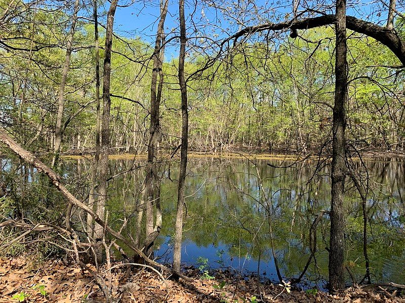1st image of 1424 Road