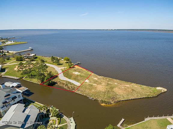 4th image of 116 Palmwood Dr