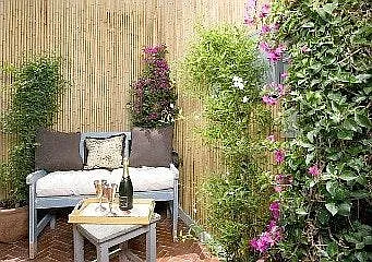 Mother In-Law Suite Patio