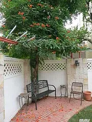 Rented by NYC Living Well Realty LLC