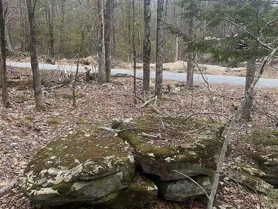 1st image of Ulster Heights Road