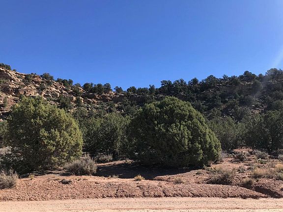 3rd image of 2888 N Foothill Dr