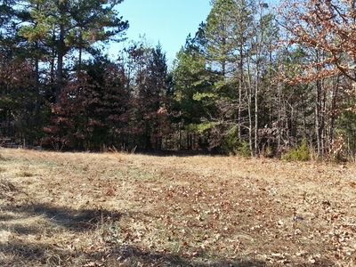 369 Wolf King Rd, Mountain View, AR, 72560