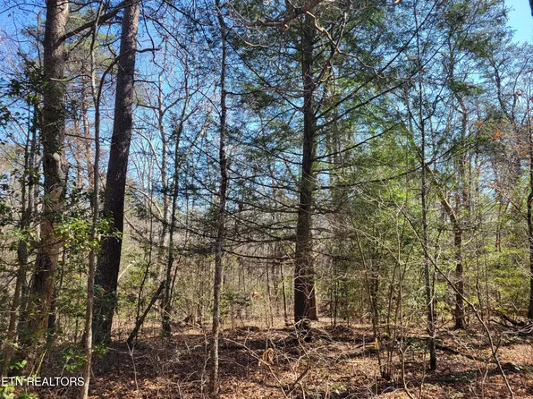 Cumberland Lakes Dr, Monterey, TN 38574