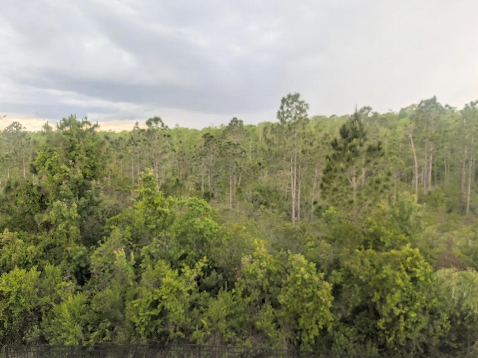 10750 Sunset Ridge Ln — Photo 3
