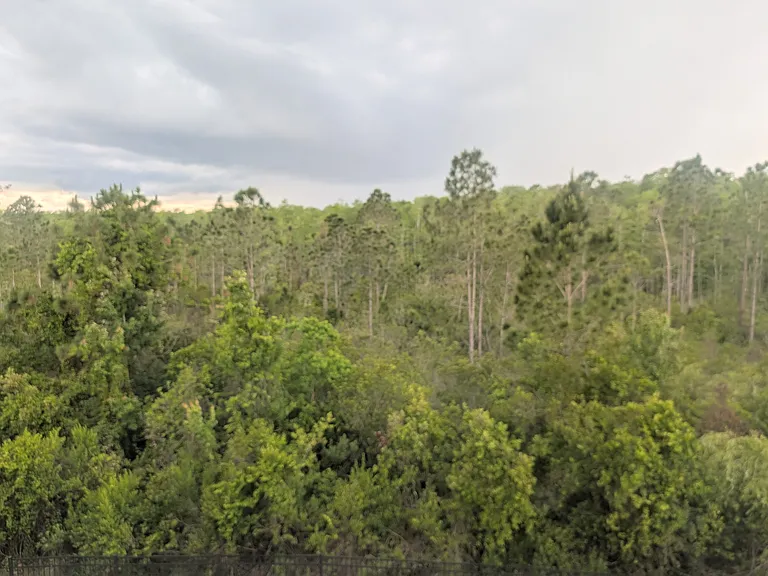 Sunset Ridge Ln — Photo 3