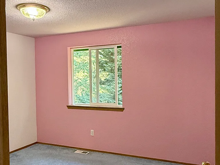 2nd bedroom with closet