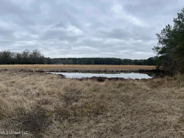 0 E Guy Smith Rd, Poplarville, MS 39470