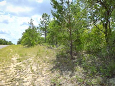 LOT 37 Bluestone Dr, Chipley, FL, 32428