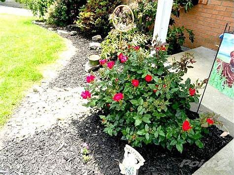 Another photo of front exterior landscaping.