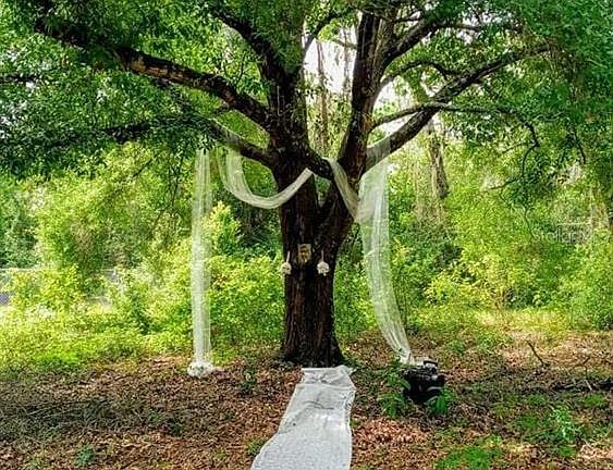 2nd image of 12139 RUTHERFORD LANE LOT 0060