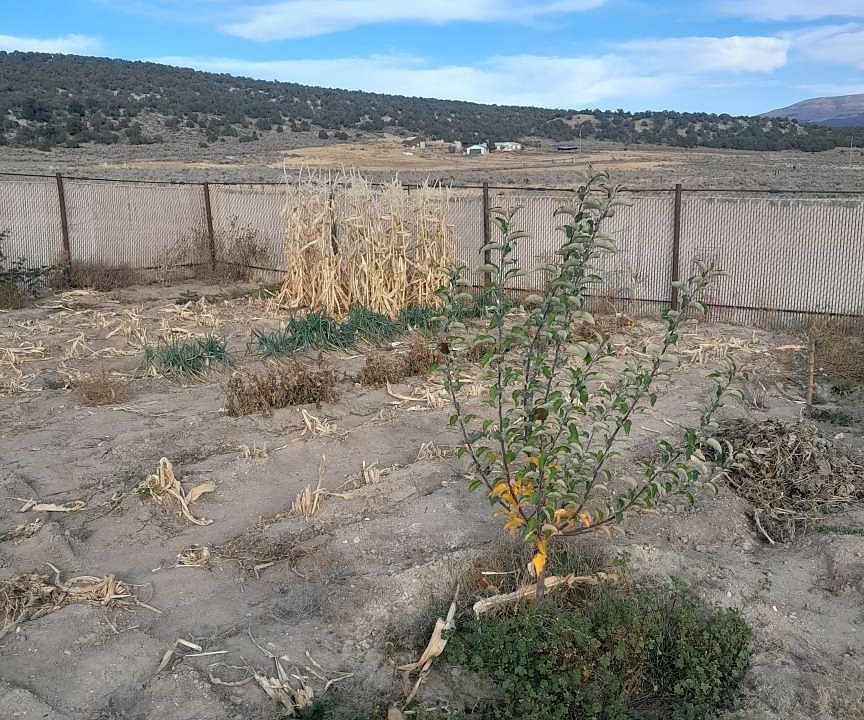 16080 N Paradise Park Rd, Lapoint, UT 84039 MLS 1967256 Zillow