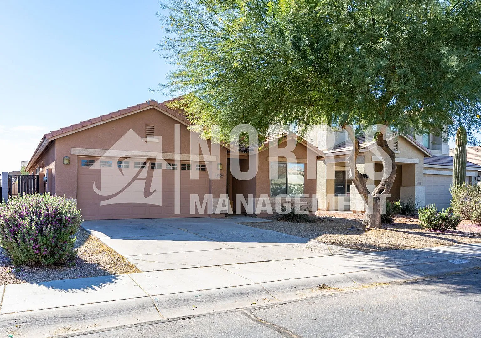 Beautiful Home with a Freshly Renovated Pool in Maricopa — Photo 3