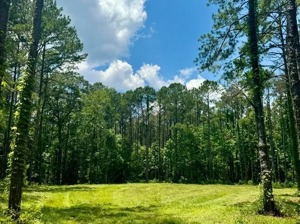 0 Lewis Ln SE, Meadville, MS 39653