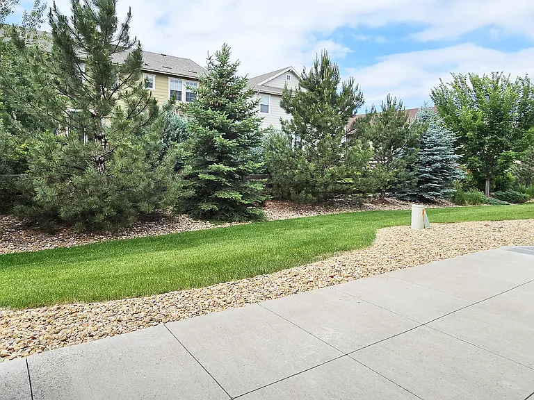 Exterior Back Yard