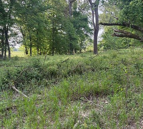 4th image of LOT 1 Slocum Rd