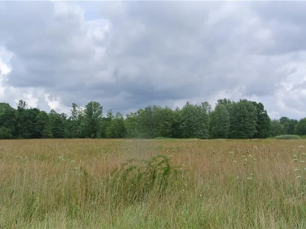 Austin Rd, Geneva, OH 44041