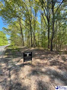 Wilkes Pond Rd, Patrick, SC, 29584