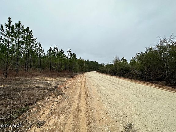 4th image of TRACT 6418 S Mattox Springs Rd #4