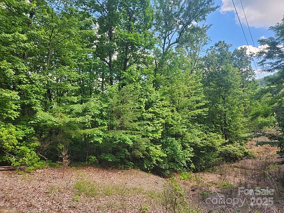 4th image of 0 Hickory Nut Ln Lot 390