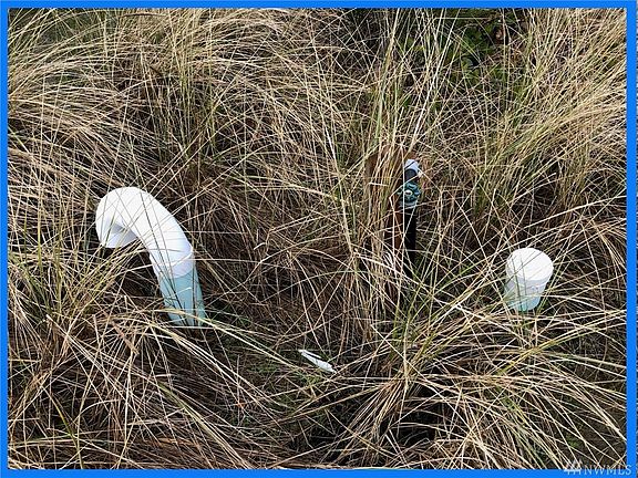 4th image of 999 White Cap