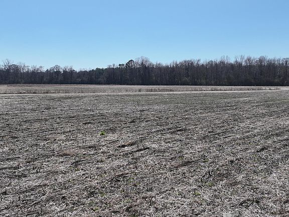3rd image of 00 Cal Jones Road